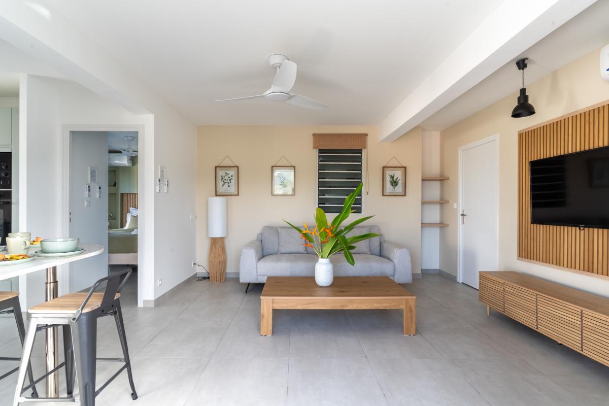 sejour-salon-amenage-appartement-t2-diamant (1)